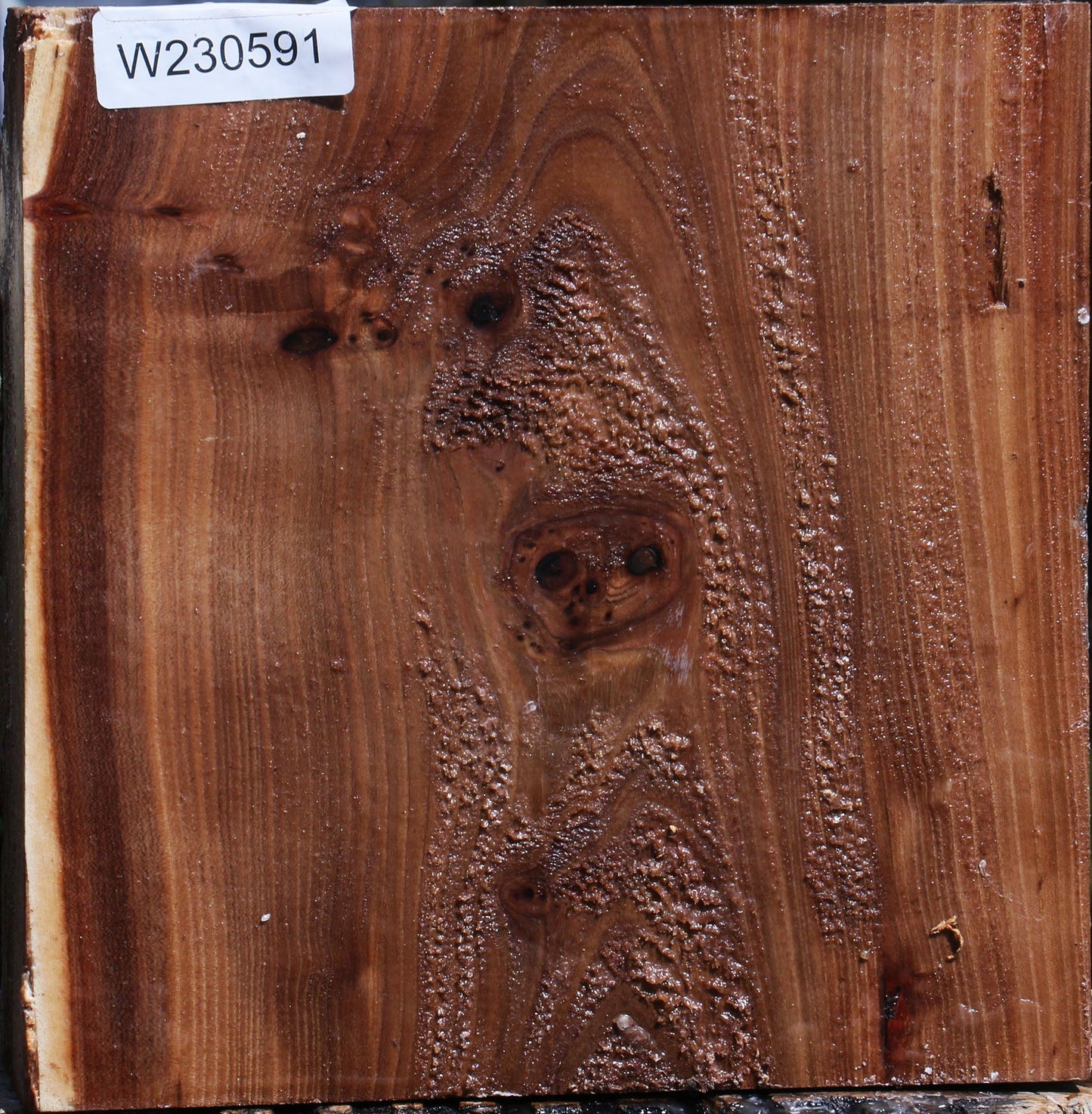 Elm Live Edge Bowl Blank