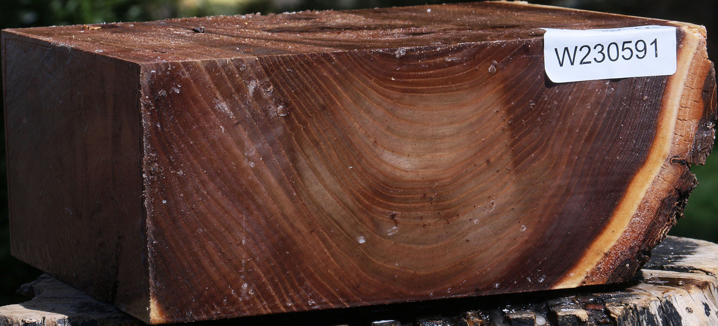 Elm Live Edge Bowl Blank