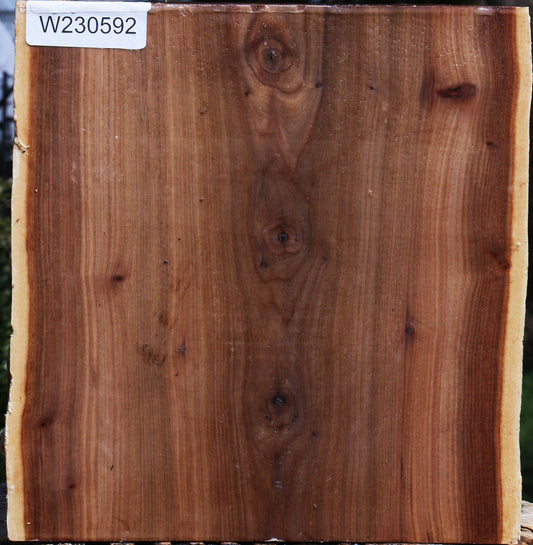 Elm Live Edge Bowl Blank