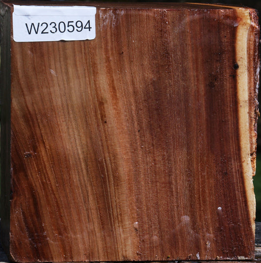 Elm Live Edge Bowl Blank