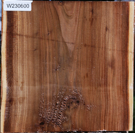 Elm Live Edge Bowl Blank