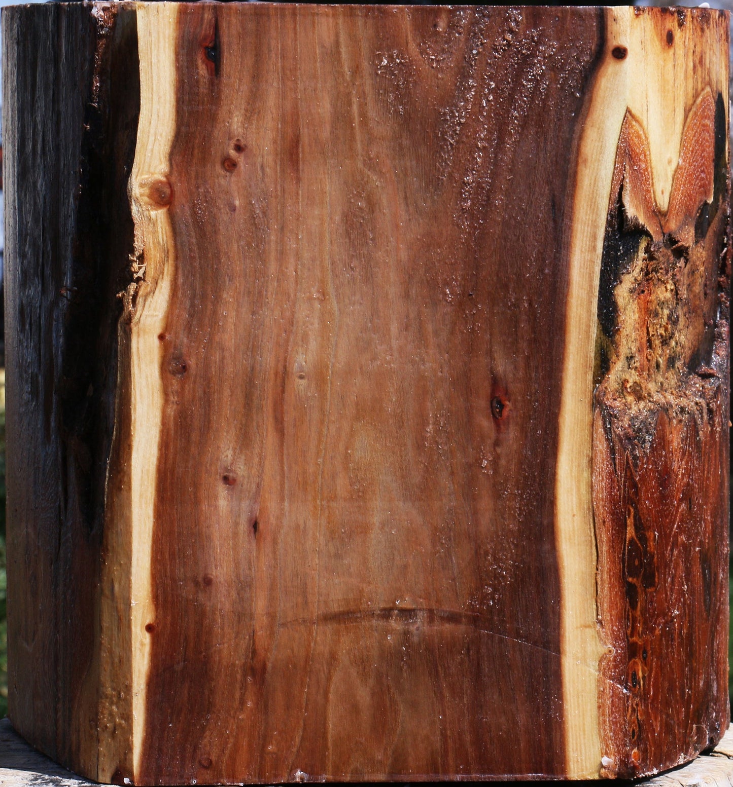 Elm Live Edge Bowl Blank