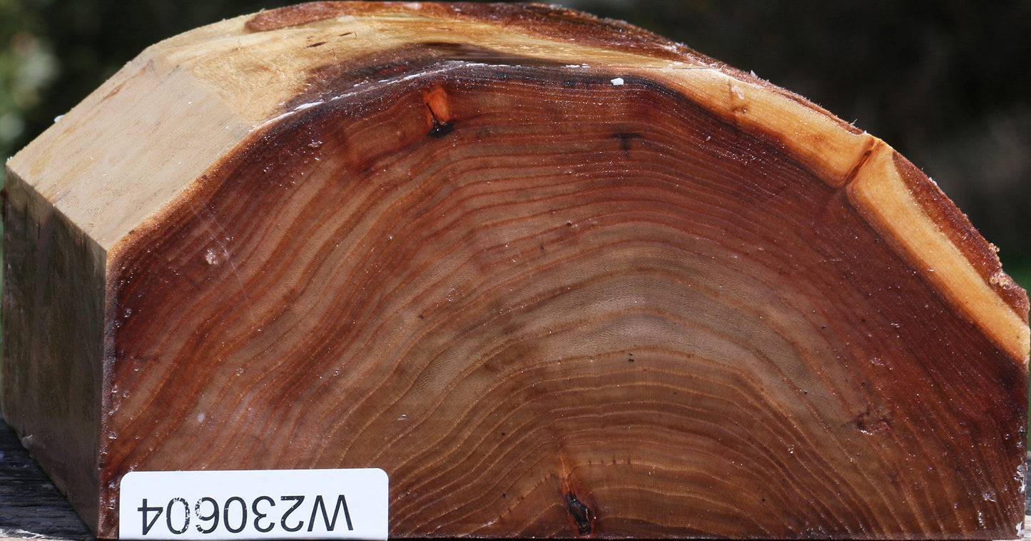 Elm Live Edge Bowl Blank