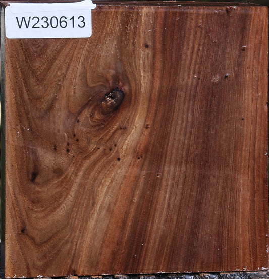 Elm Live Edge Bowl Blank