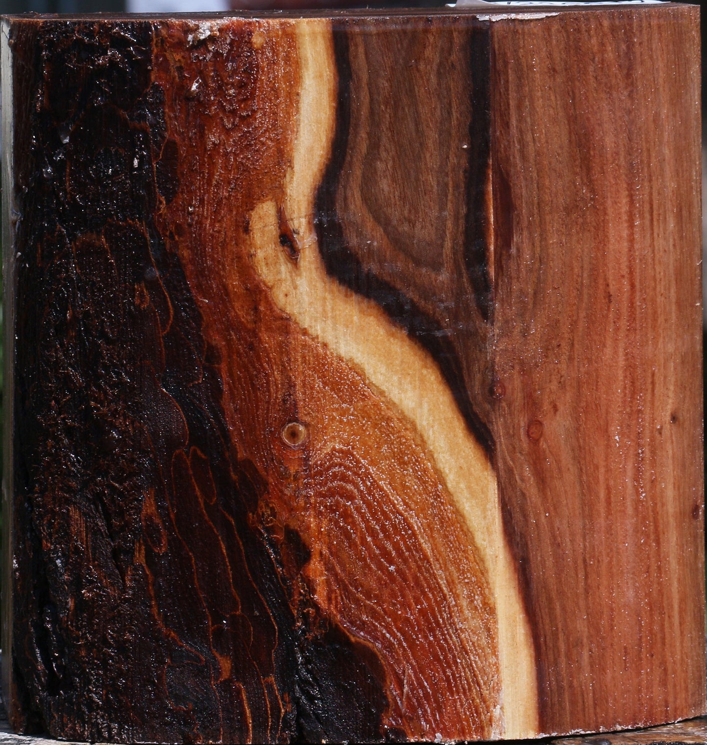 Elm Live Edge Bowl Blank