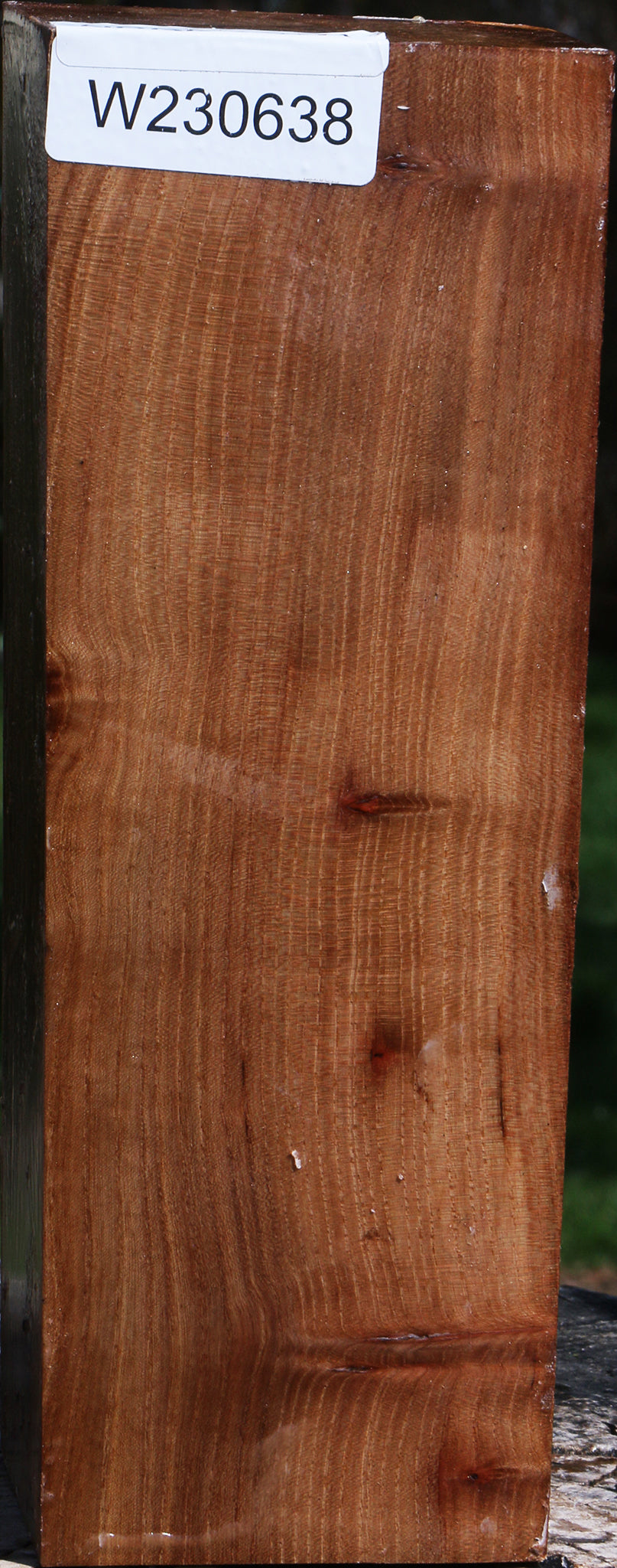 Elm Turning Blank