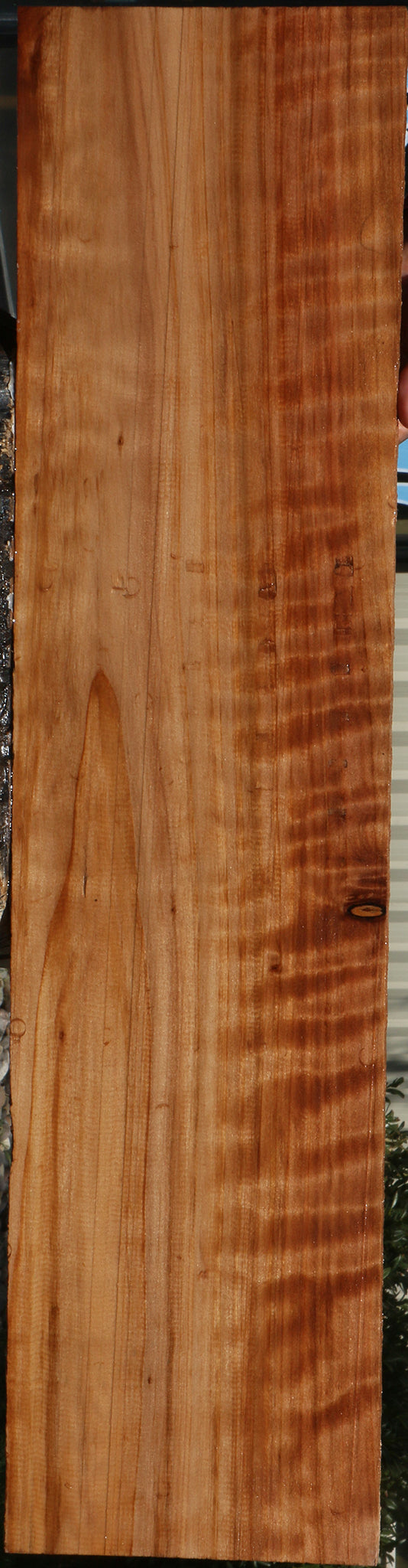 Curly Redwood Lumber