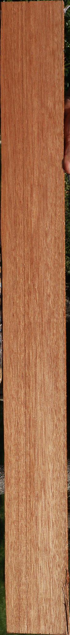 Red Meranti Lumber