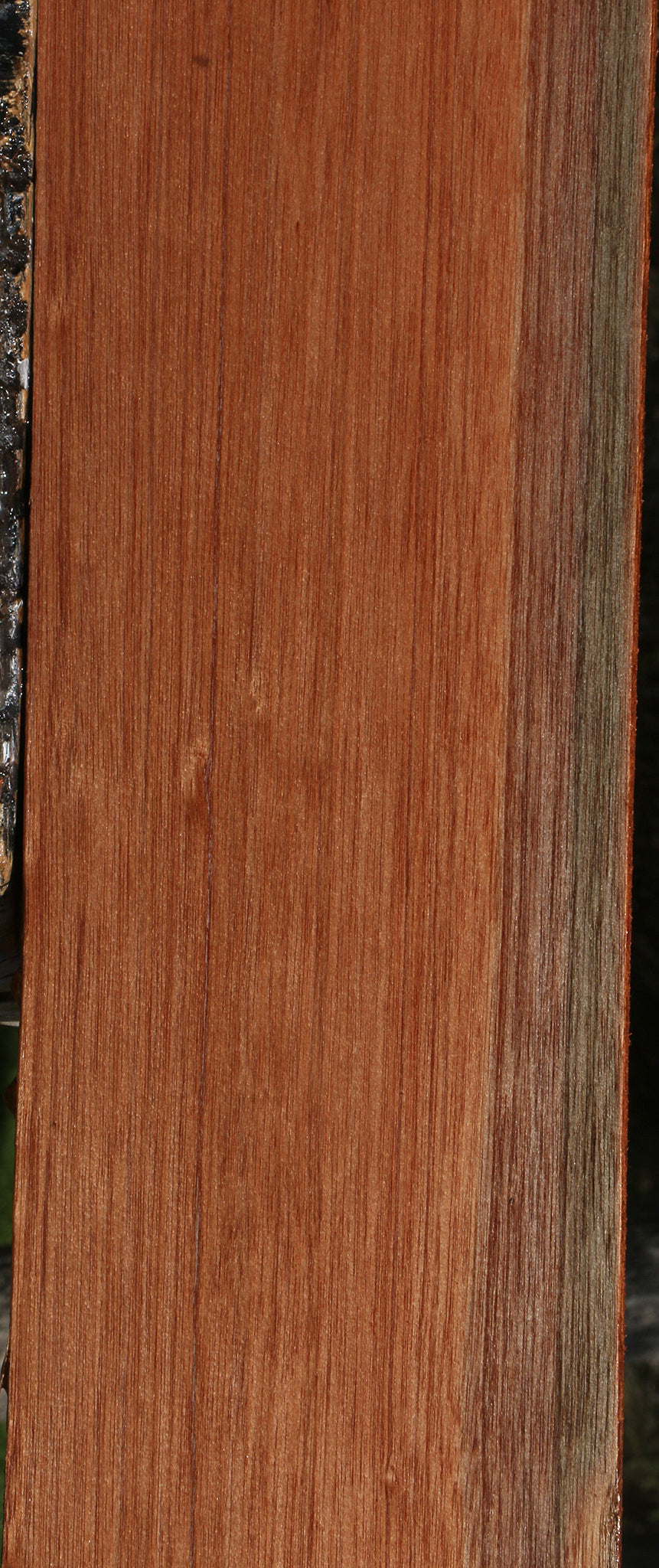 Red Meranti Lumber