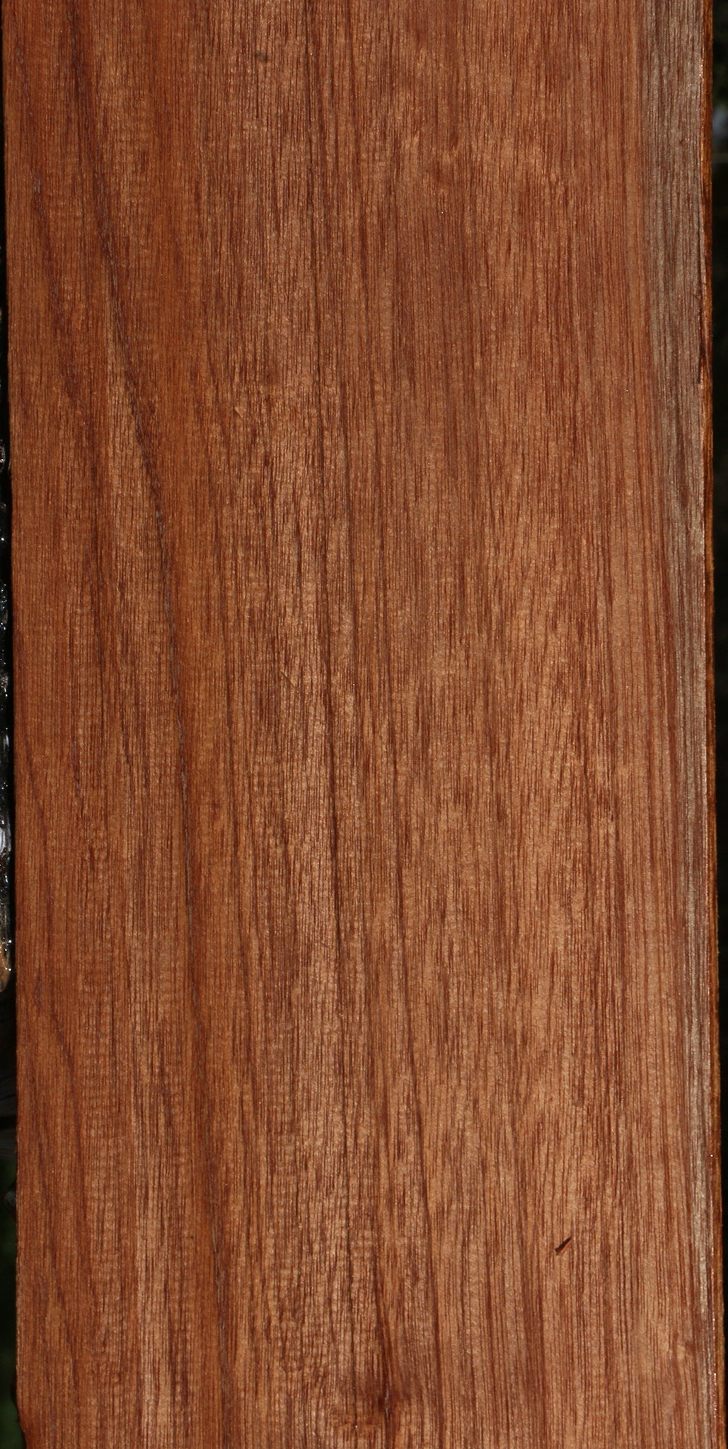 Red Meranti Lumber
