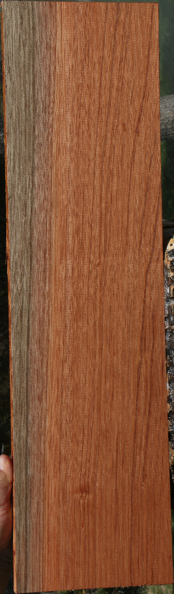 Red Meranti Lumber