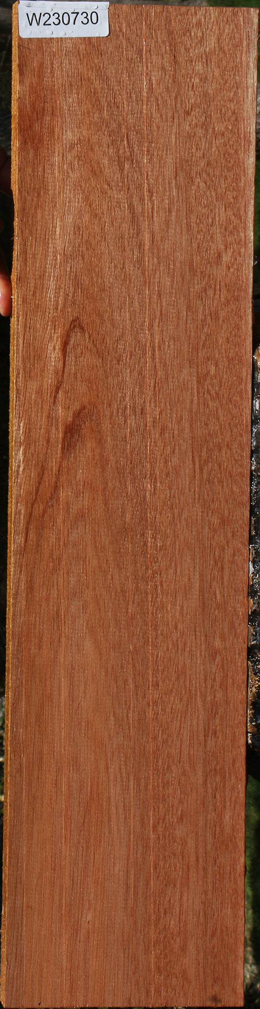 Red Meranti Lumber