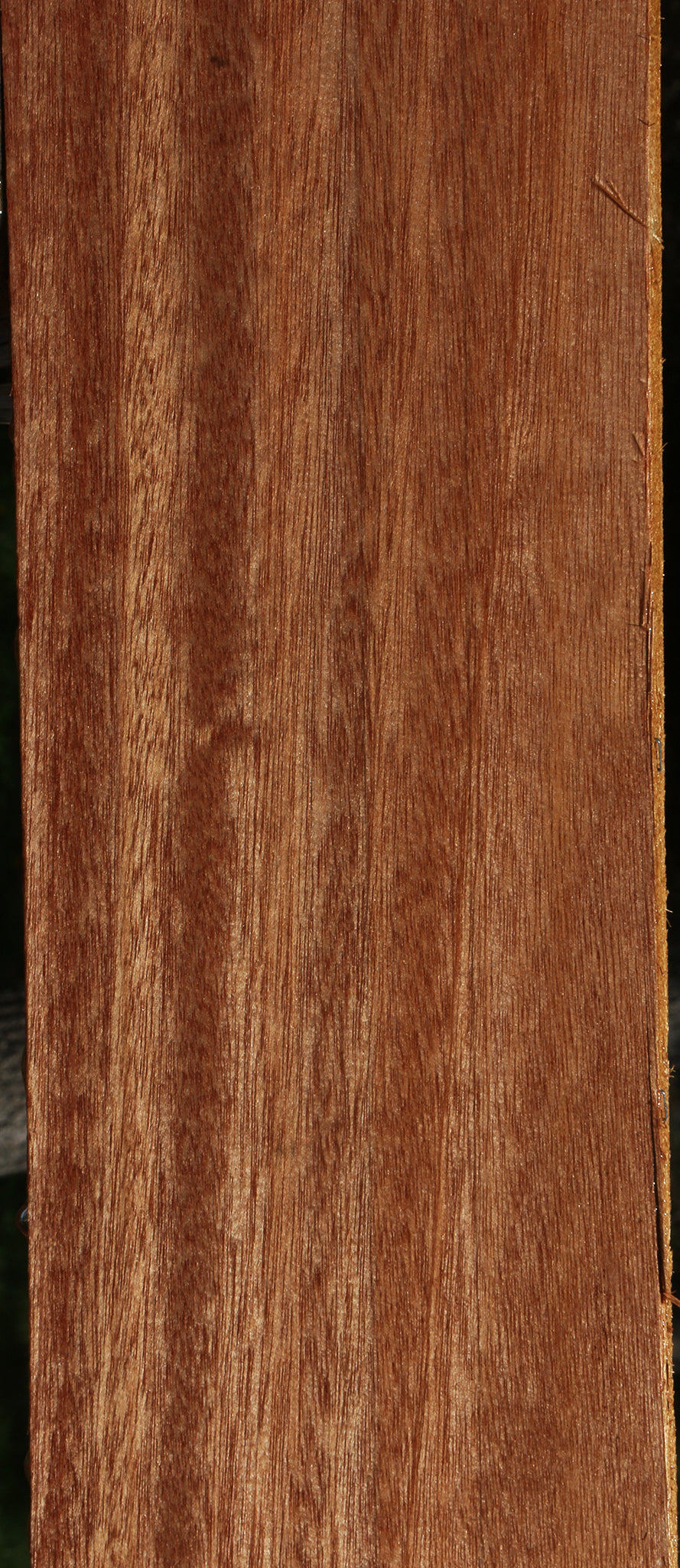 Red Meranti Lumber