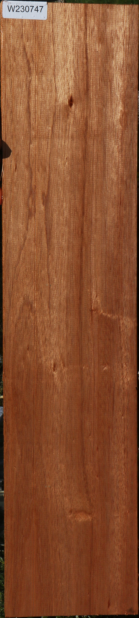 Red Meranti Lumber