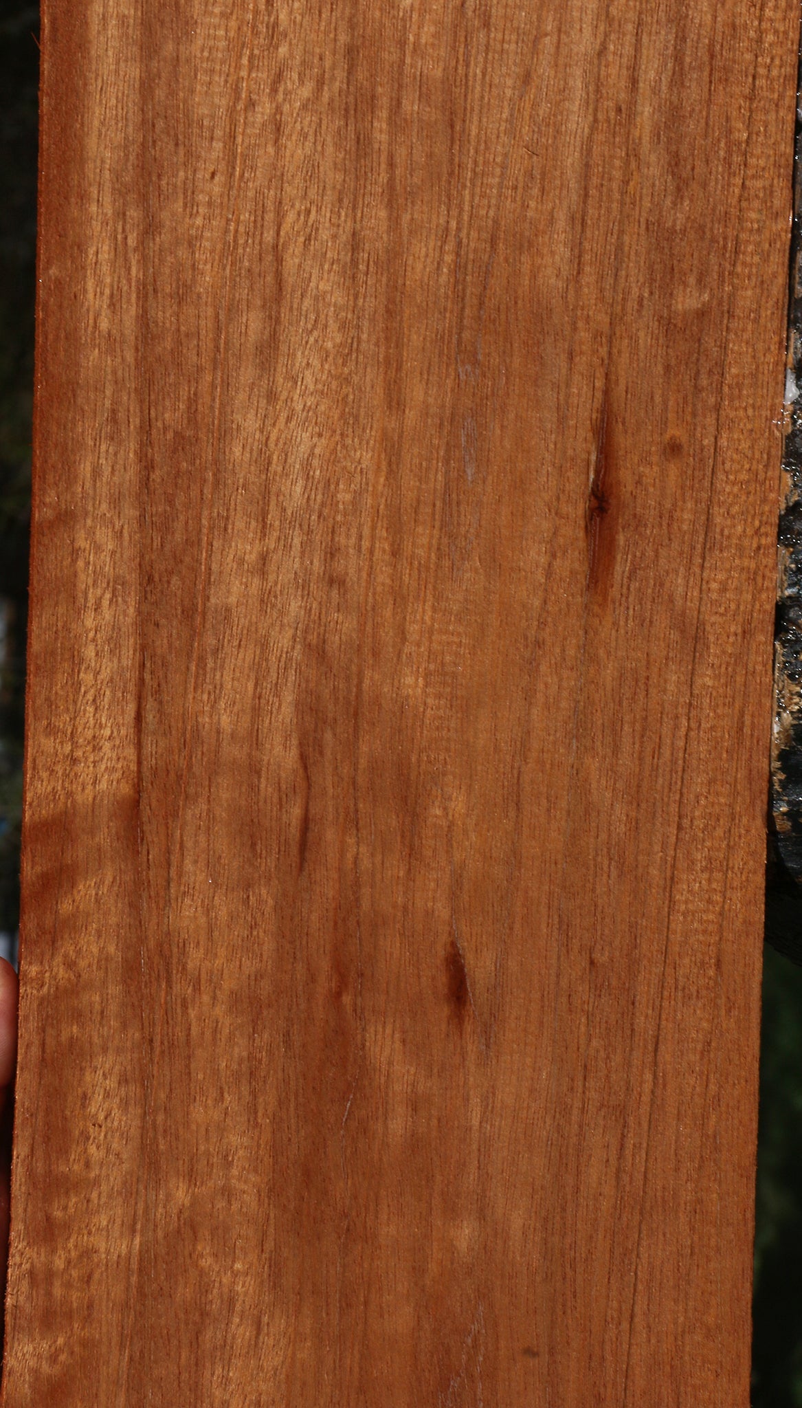 Figured Red Meranti Lumber