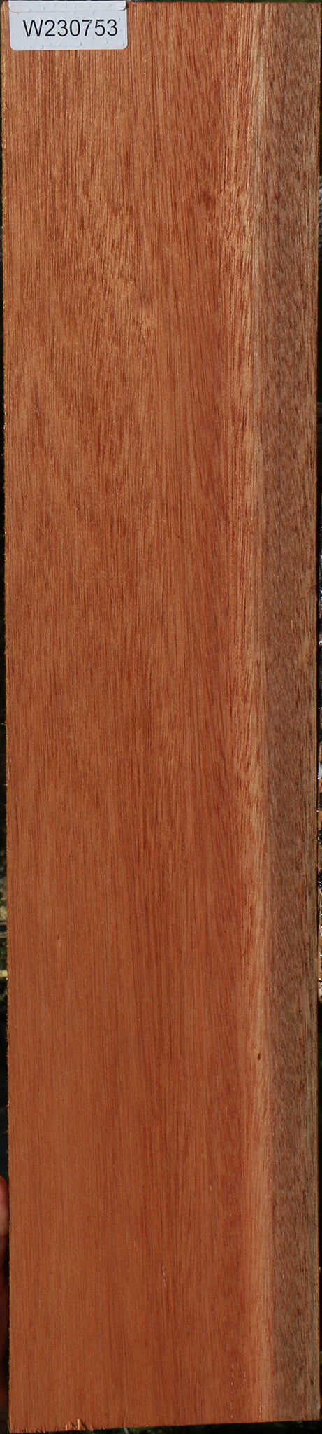 Red Meranti Lumber