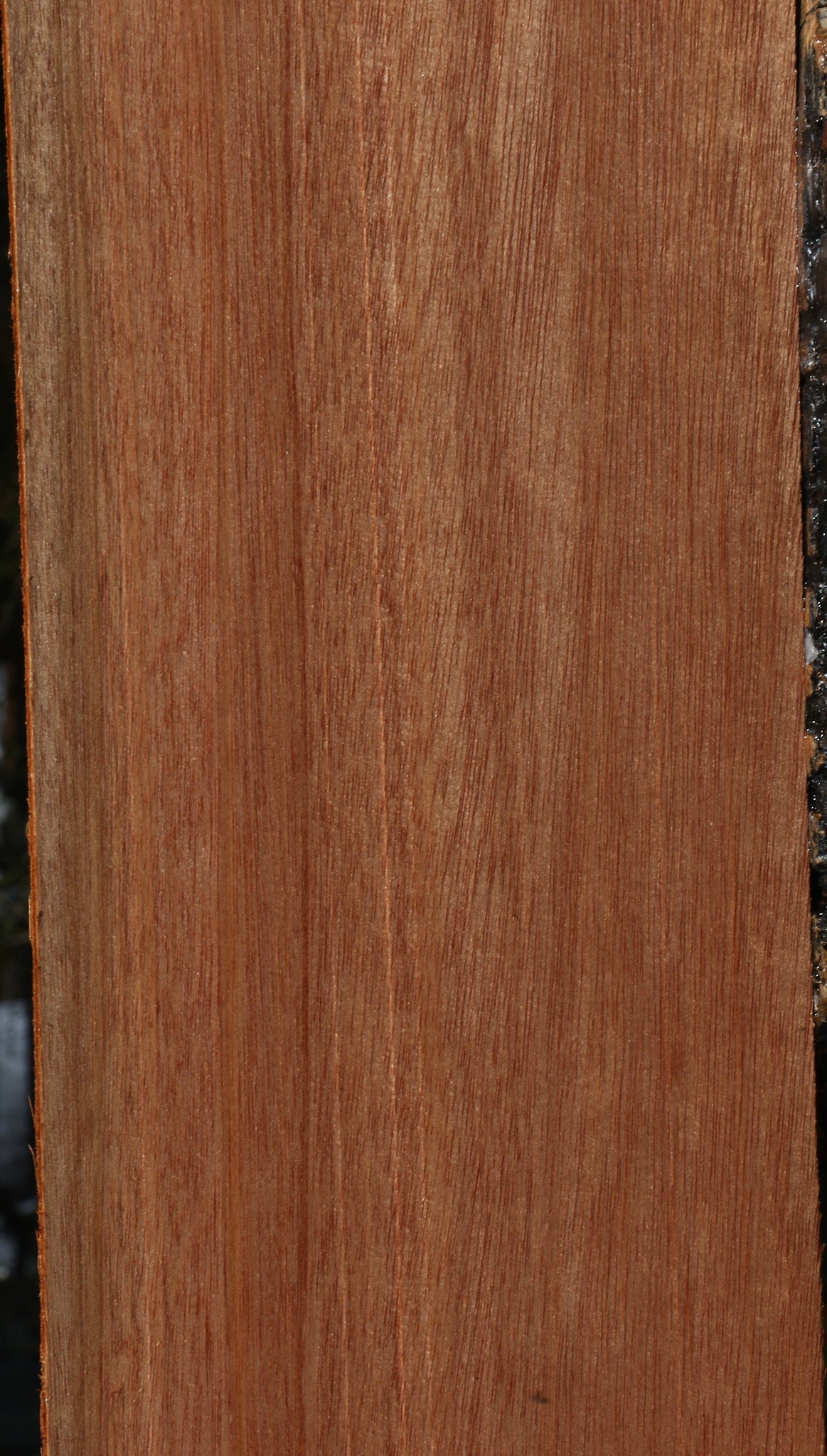 Red Meranti Lumber