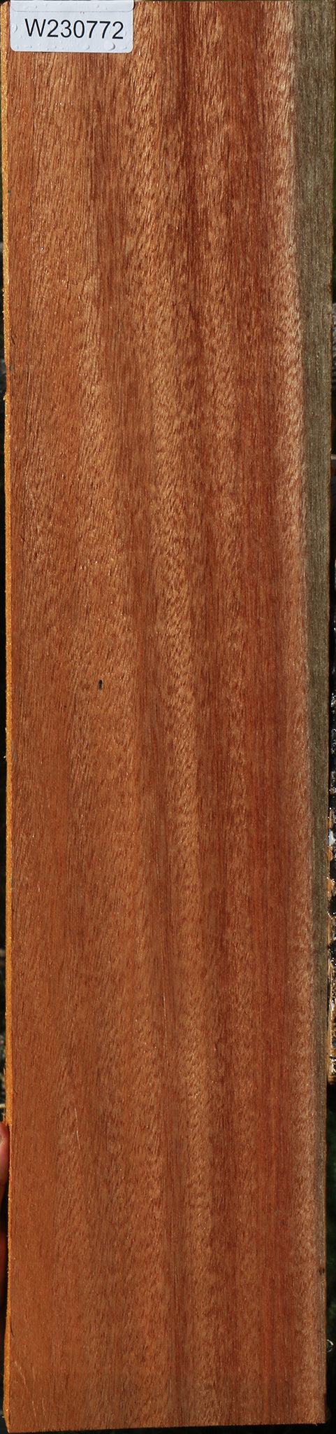 Red Meranti Lumber