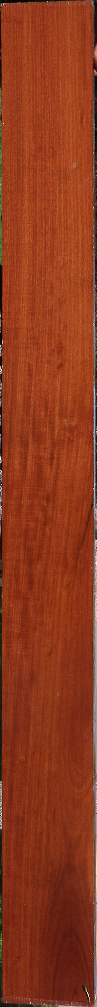 Santos Mahogany Lumber