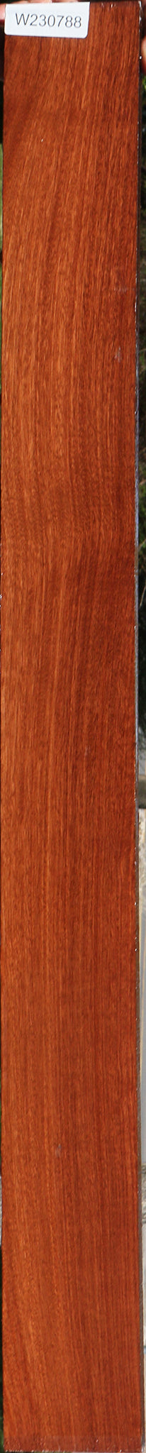 Figured Santos Mahogany Lumber