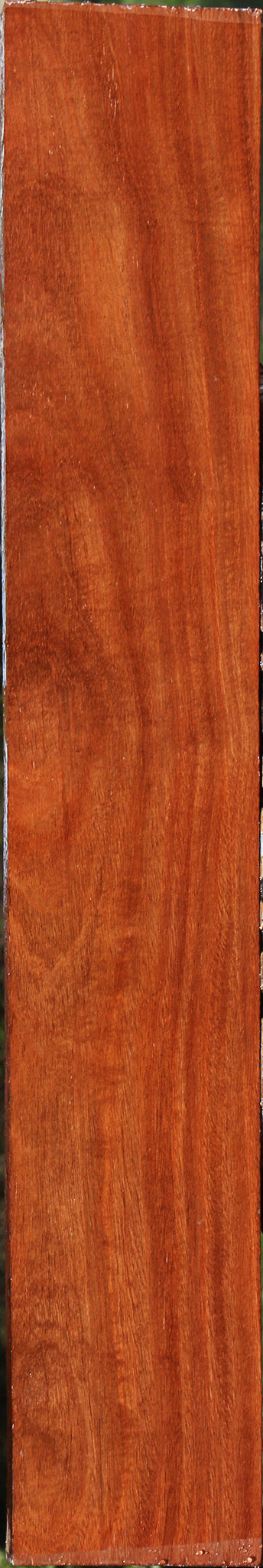 Extra Fancy Santos Mahogany Lumber