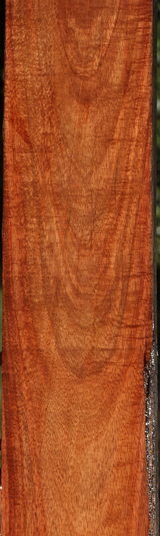 Extra Fancy Santos Mahogany Lumber