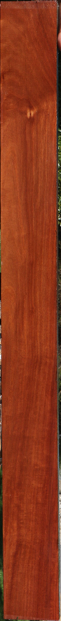 Extra Fancy Santos Mahogany Lumber
