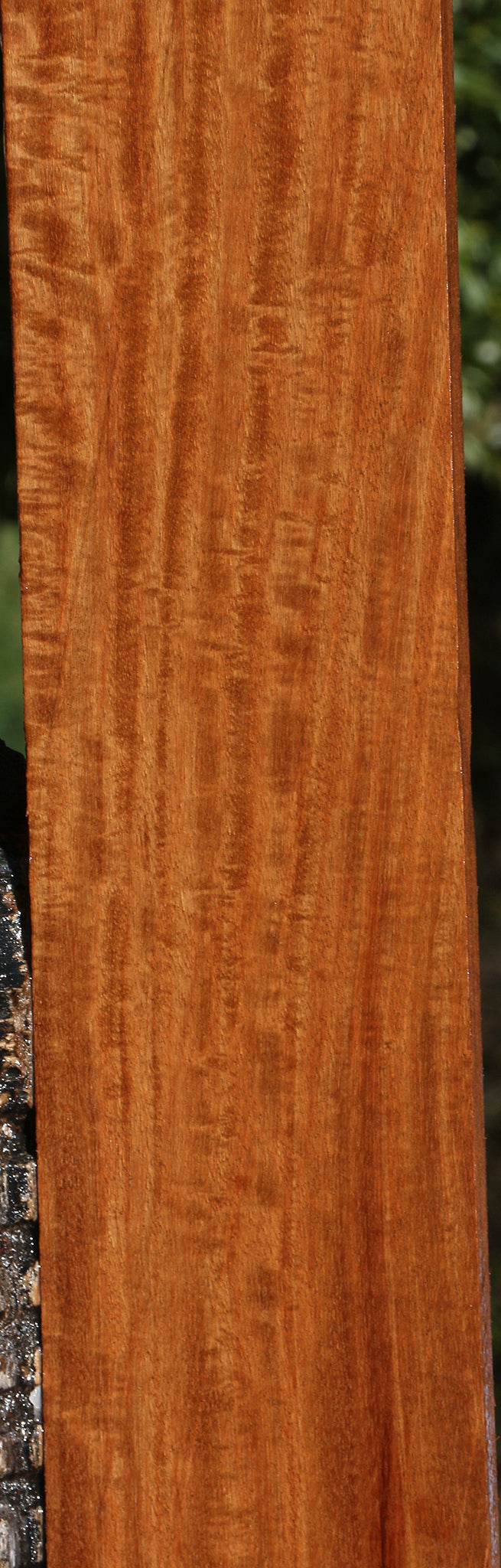 Extra Fancy Santos Mahogany Lumber
