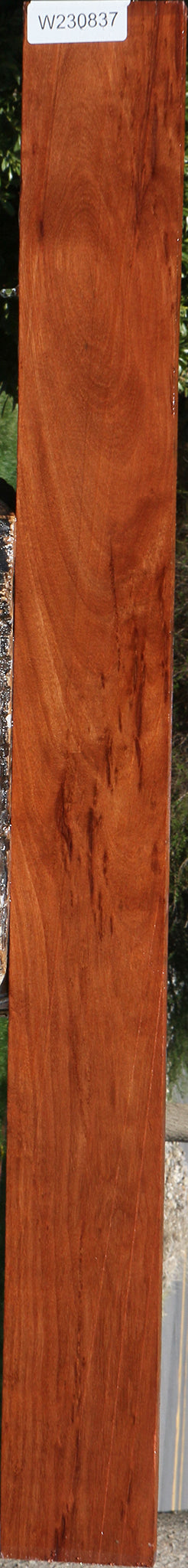 Figured Santos Mahogany Lumber
