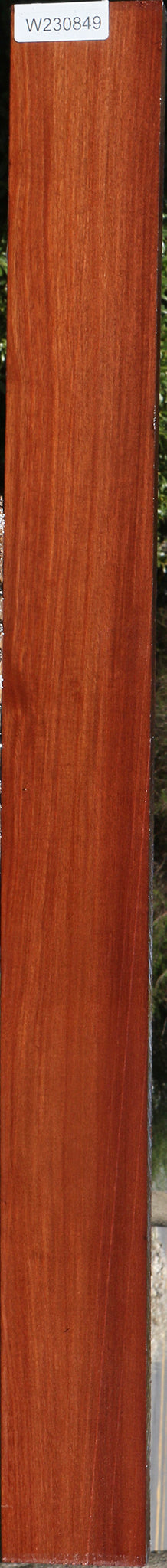 Santos Mahogany Lumber