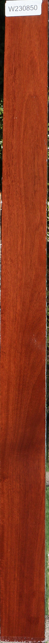 Figured Santos Mahogany Lumber