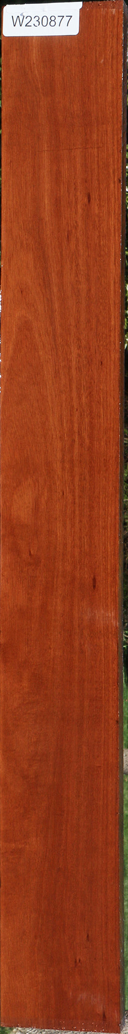 Figured Santos Mahogany Lumber