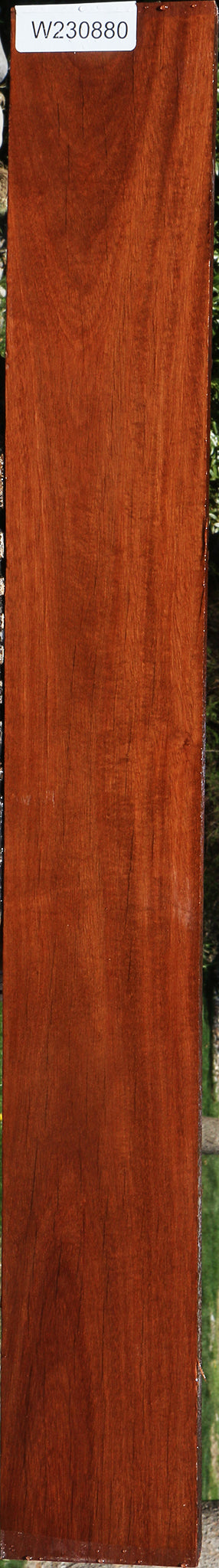 Figured Santos Mahogany Lumber