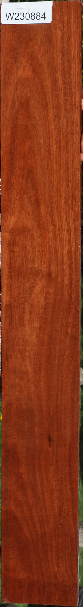 Figured Santos Mahogany Micro Lumber
