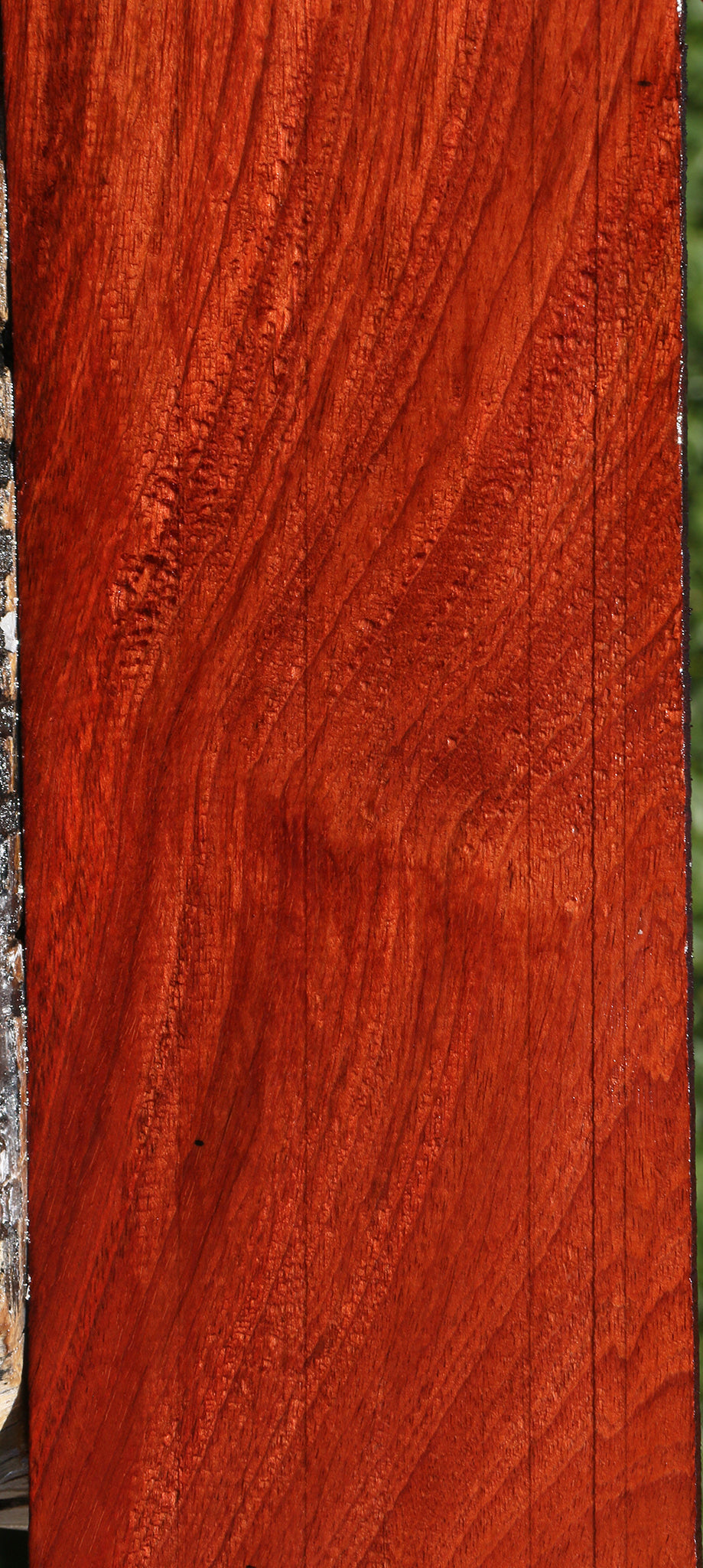 美品★JlL SANDER バレリーナDARK RED Figured Brazilian Cherry Lumber – Cook Woods
