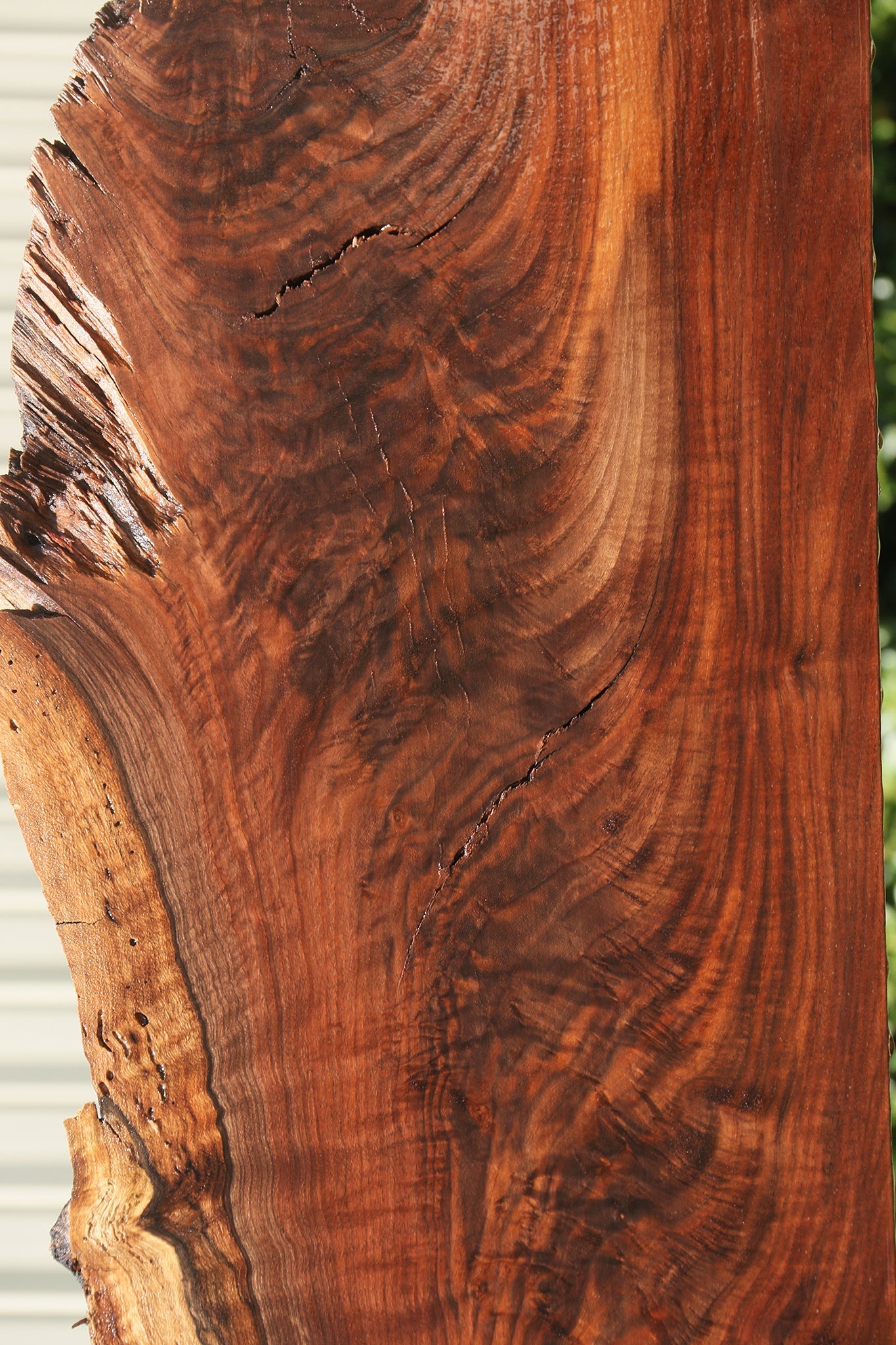 Rustic Claro Walnut Live Edge Slab