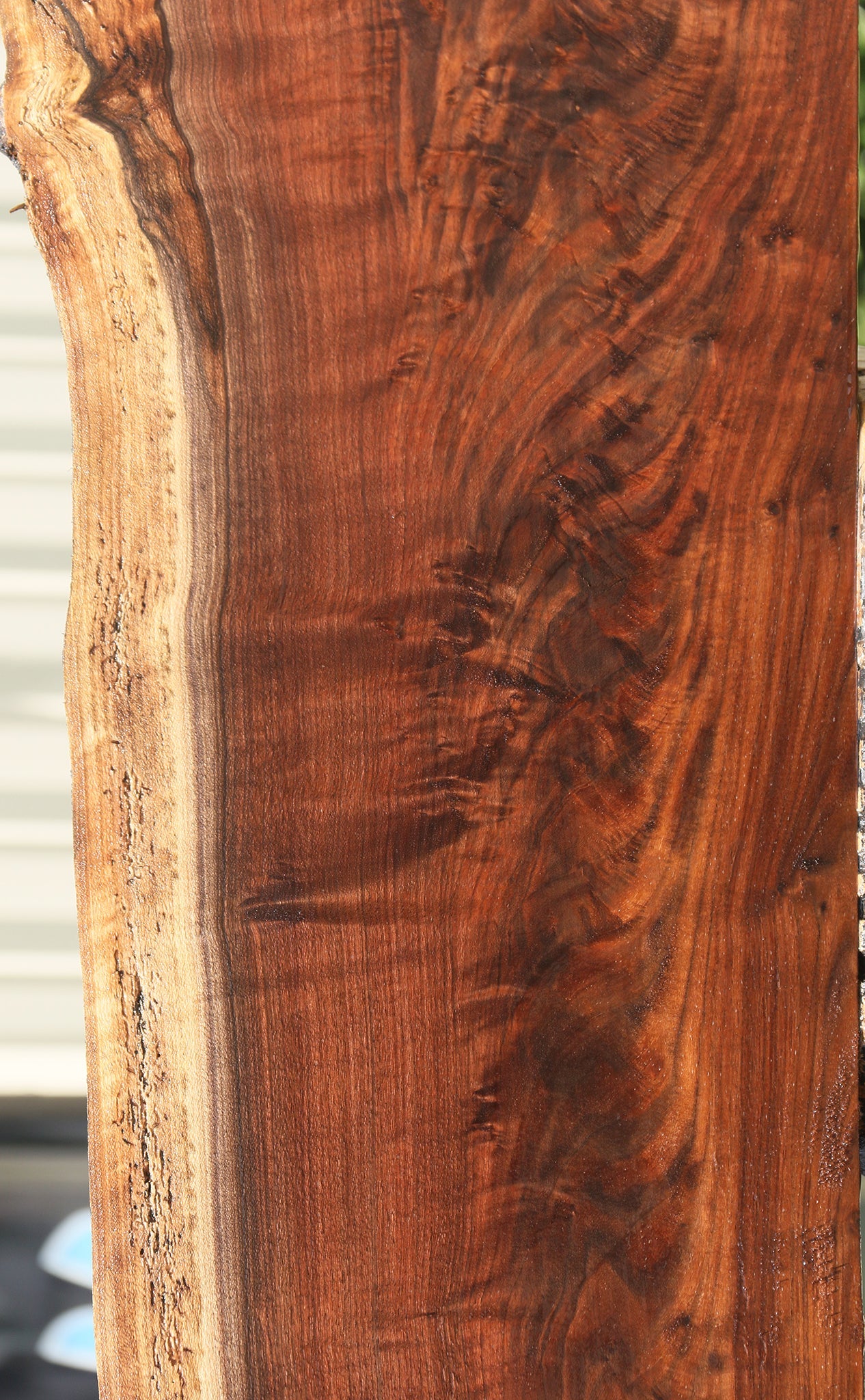 Rustic Claro Walnut Live Edge Slab