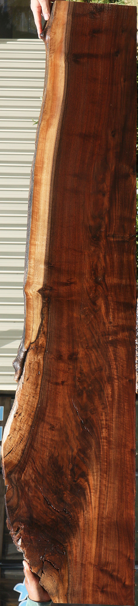 Rustic Claro Walnut Live Edge Slab