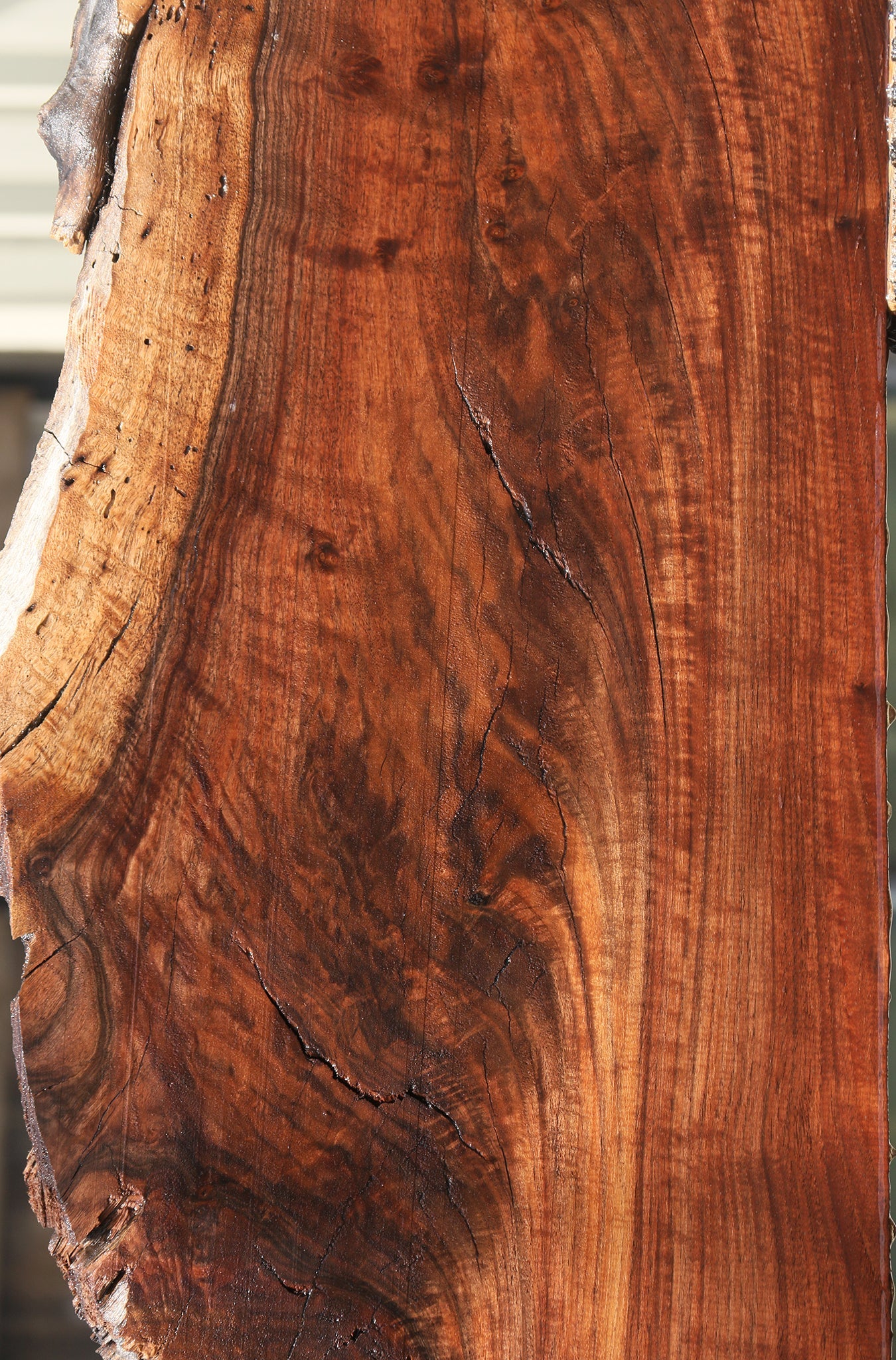 Rustic Claro Walnut Live Edge Slab