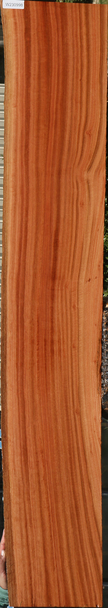 Figured Rustic Red Ironbark Live Edge Slab