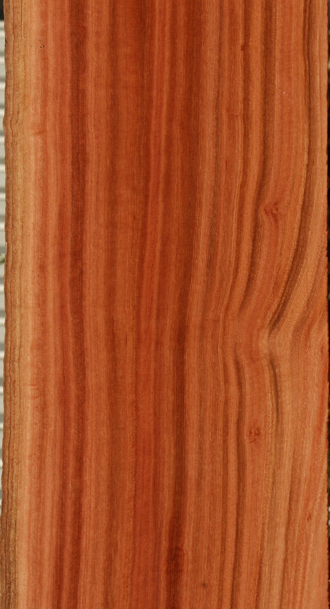Figured Rustic Red Ironbark Live Edge Slab