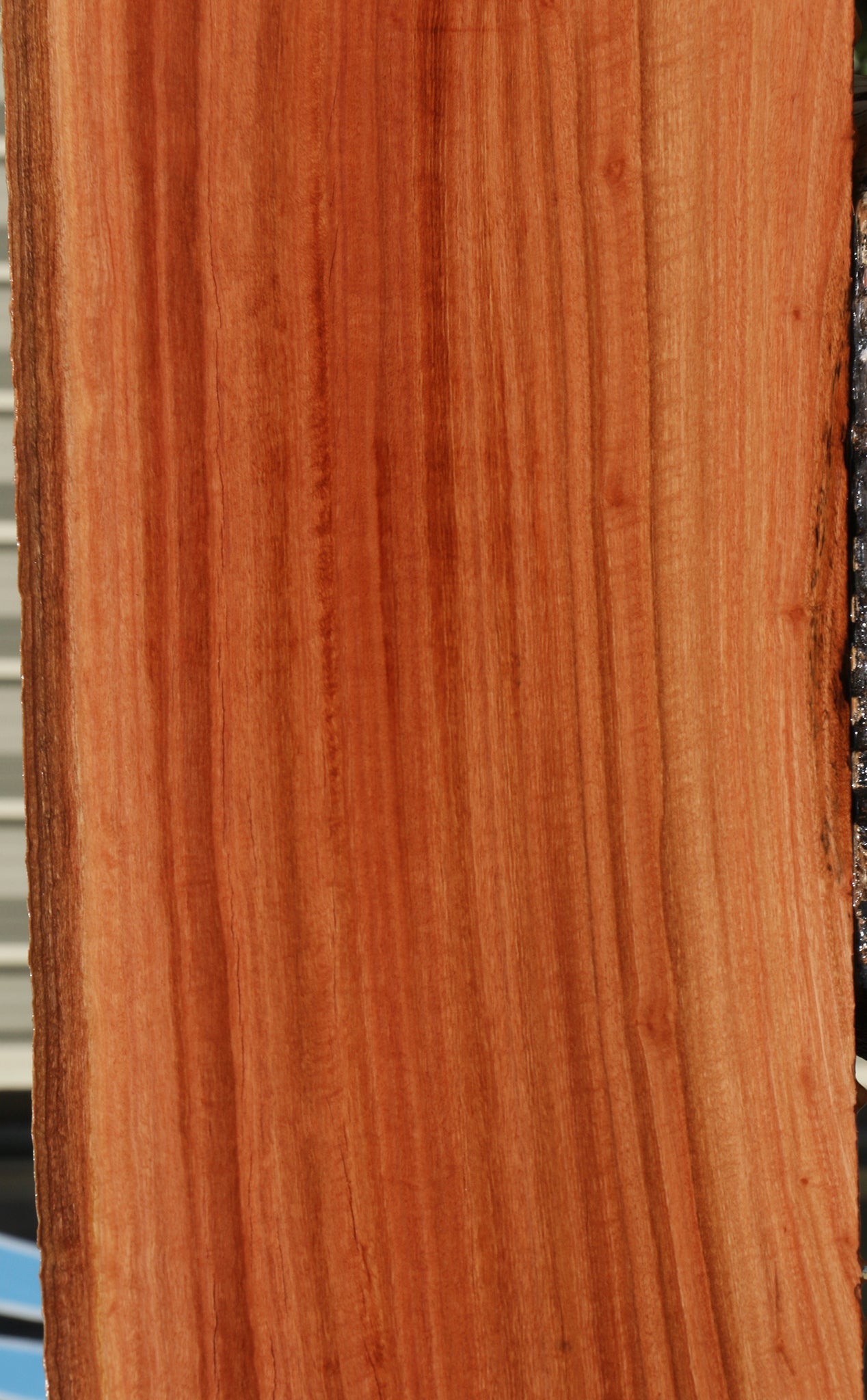 Figured Rustic Red Ironbark Live Edge Slab