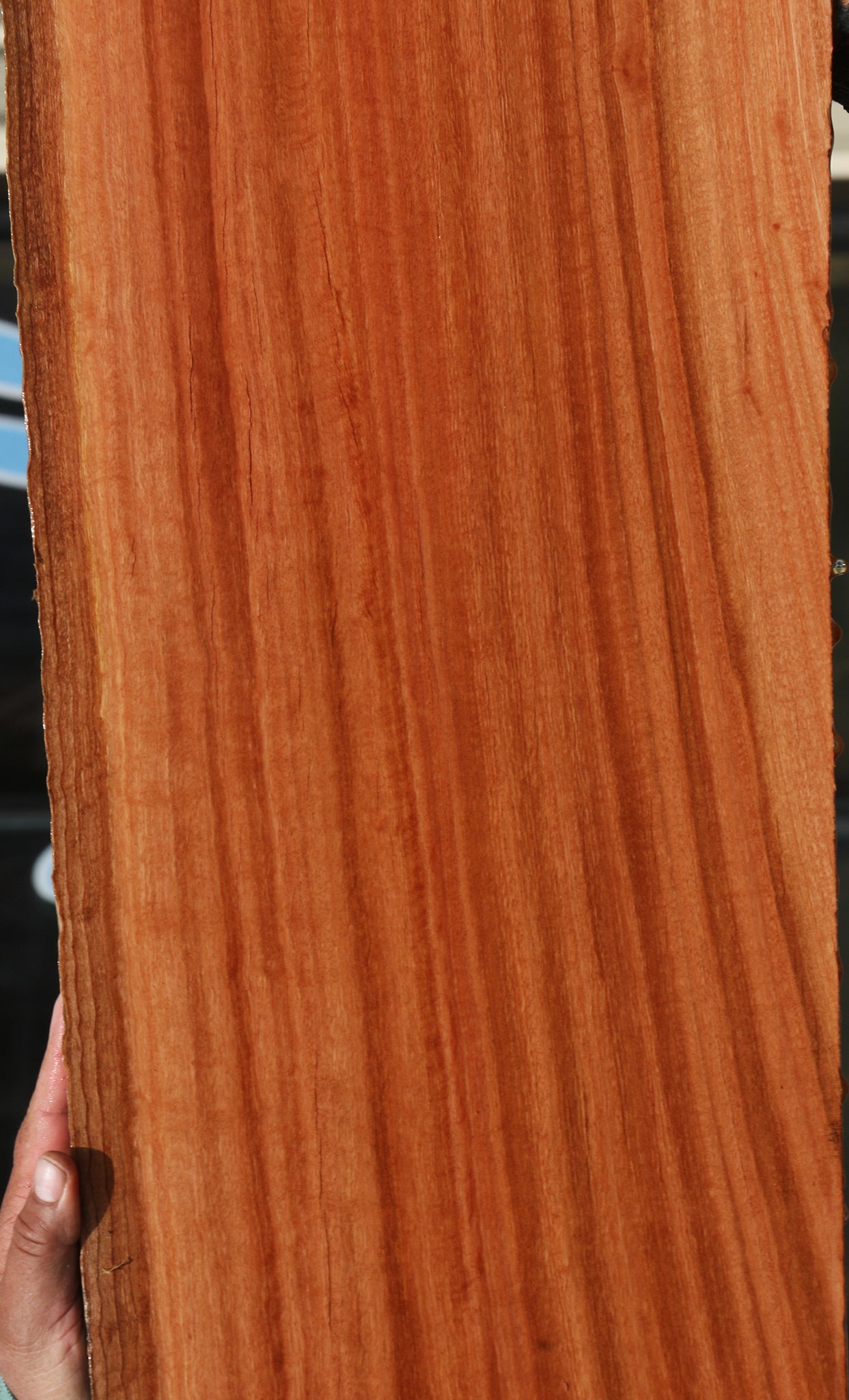 Figured Rustic Red Ironbark Live Edge Slab