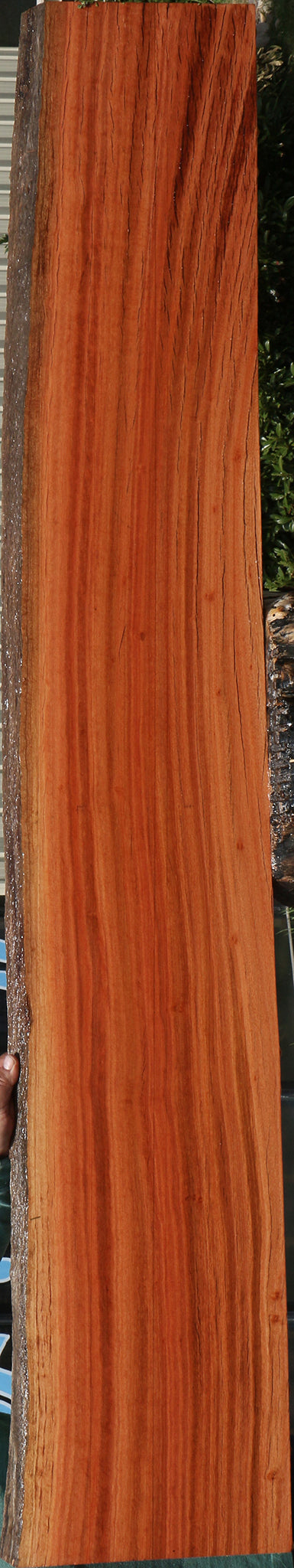 Figured Rustic Red Ironbark Live Edge Slab