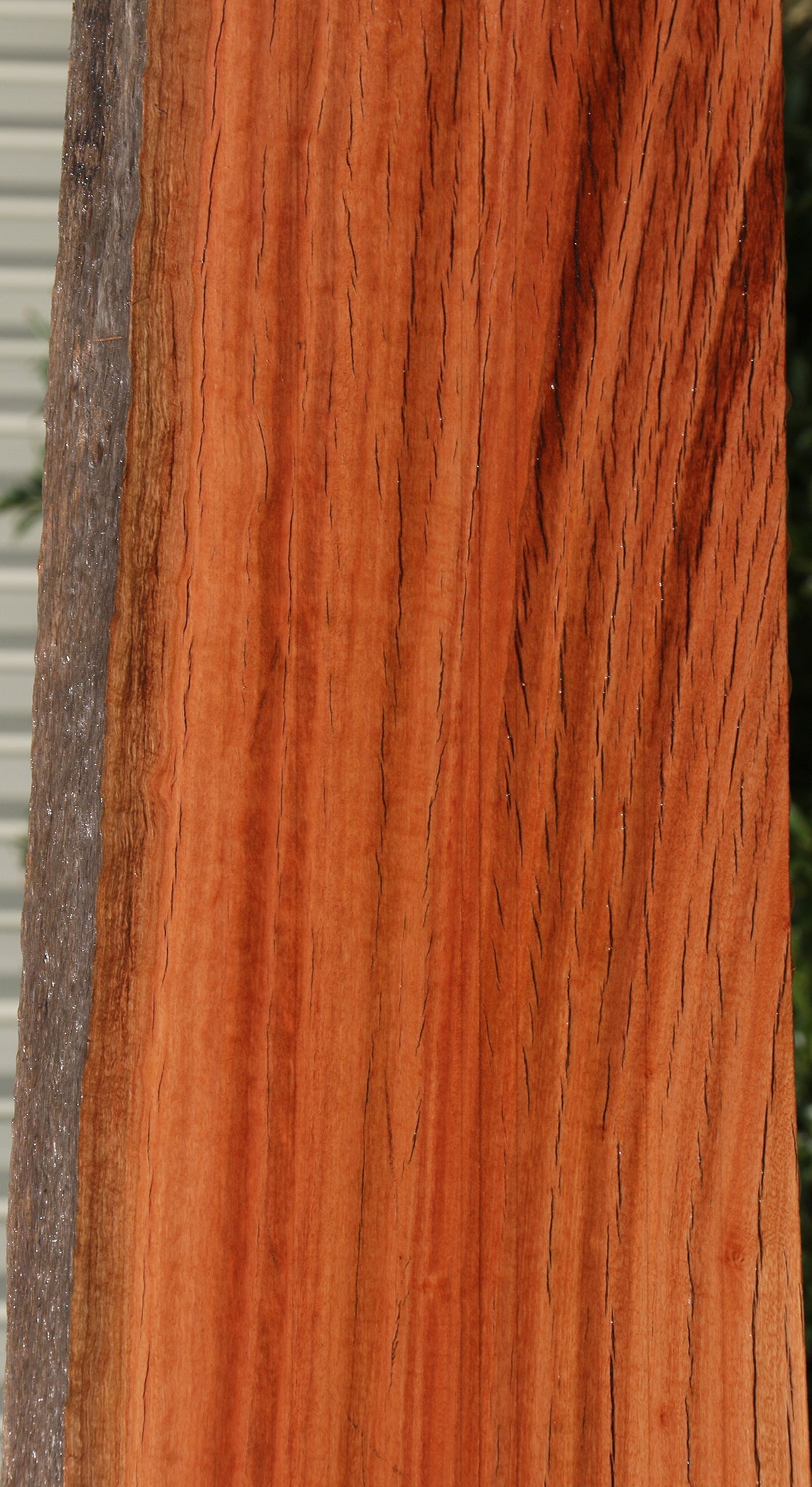 Figured Rustic Red Ironbark Live Edge Slab
