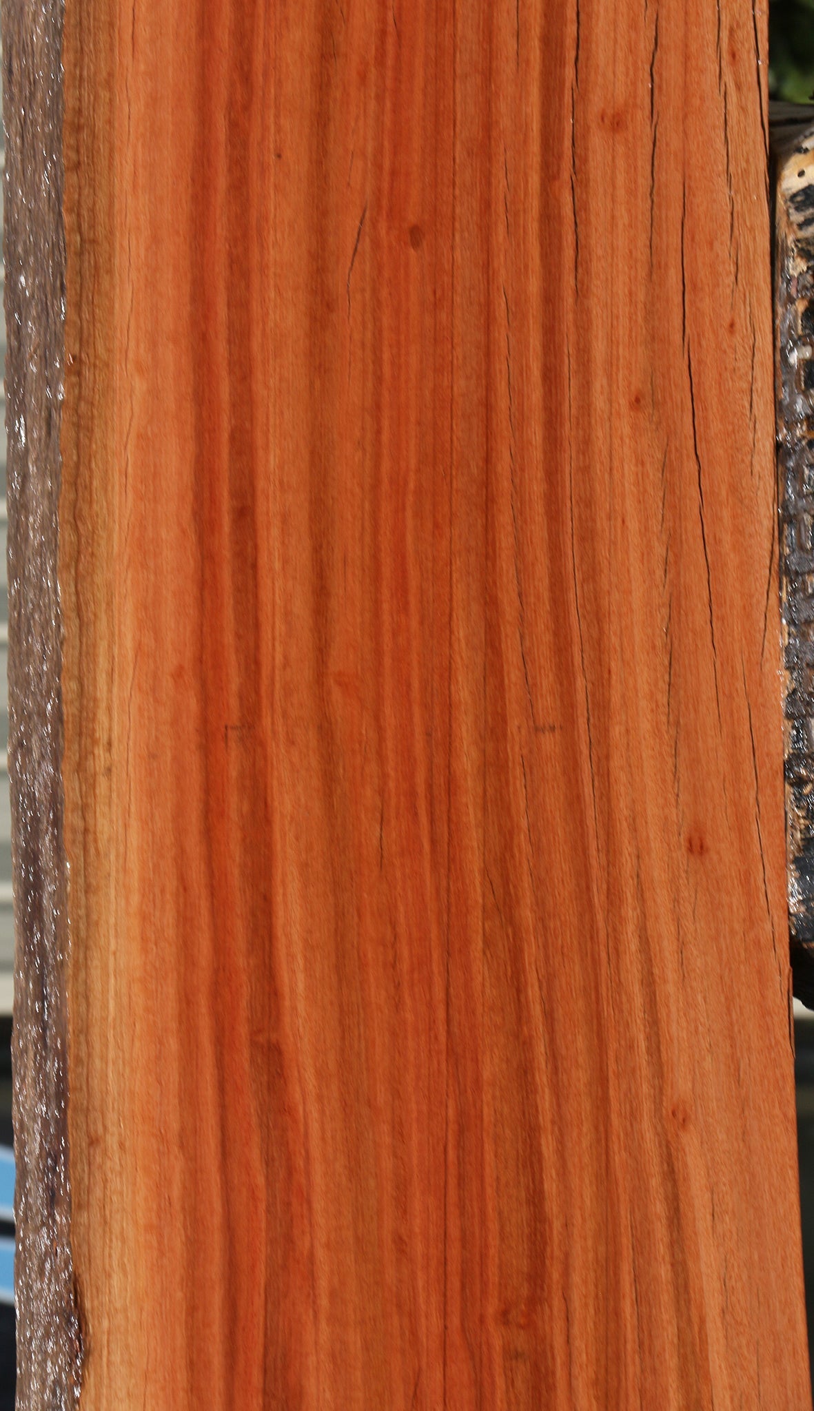 Figured Rustic Red Ironbark Live Edge Slab