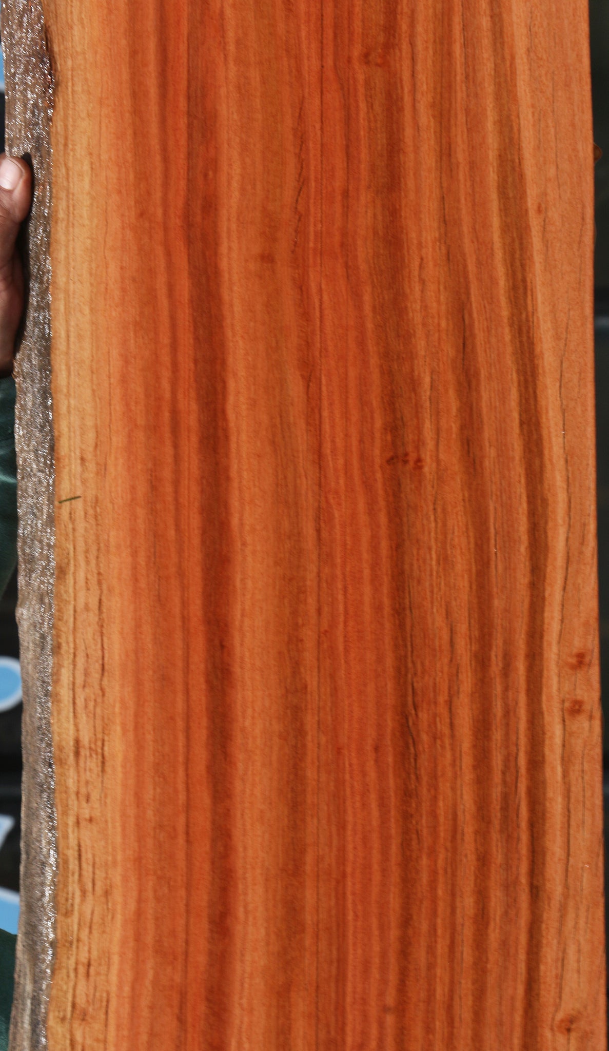 Figured Rustic Red Ironbark Live Edge Slab