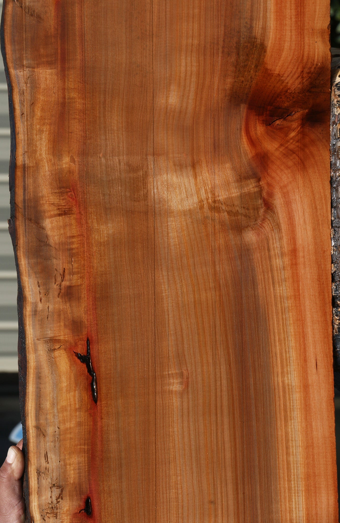 Madrone Live Edge Lumber