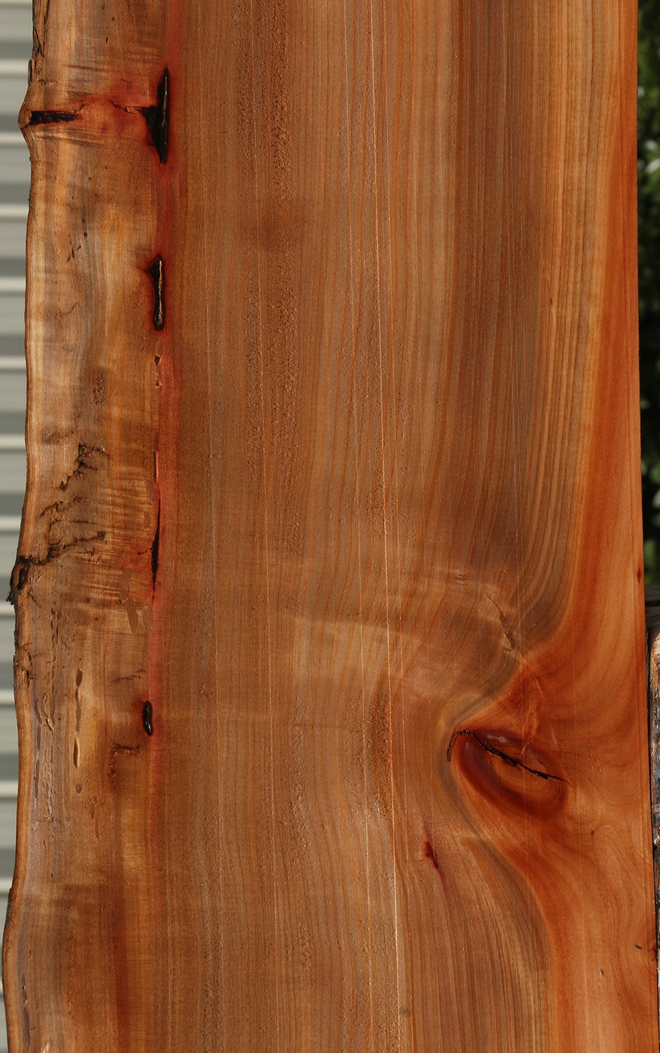Madrone Live Edge Lumber