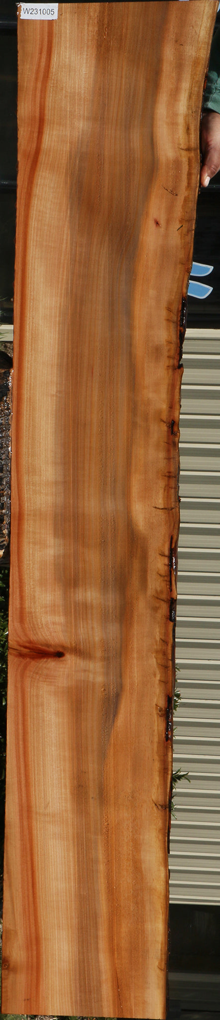 Madrone Live Edge Lumber